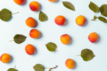 Apricots on a blue background, the flat lay image of ripe apricots and leaves	