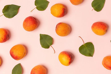 Apricots on a pink background, the flat lay image of ripe apricots and leaves	