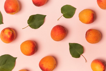 Apricots on a pink background, the flat lay image of ripe apricots and leaves	