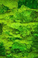 Wall-patterned backgrounds in various colors