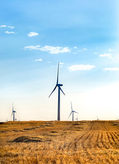 wind energy. wheat field and blue sky
