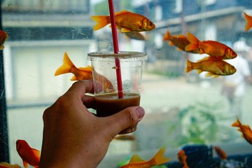 金魚の街　大和郡山　コーヒーと浮遊する金魚　Goldfish Town Yamatokoriyama Nara...