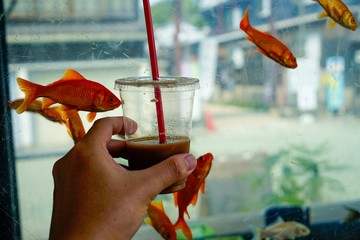 金魚の街　大和郡山　コーヒーと浮遊する金魚　Goldfish Town Yamatokoriyama Nara...