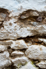 Wall-patterned backgrounds in various colors