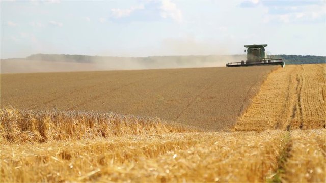 July 20, 2019 Ukraine, Vinnitsa, Combine harvester John Deere. Combine harvesting a wheat field.