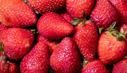 bunch of strawberries shining with leaves