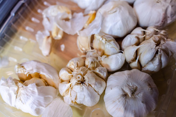 White garlic pile texture. Fresh garlic on market table closeup photo. Vitamin healthy food spice image. Spicy cooking ingredient picture. Pile of white garlic heads.
