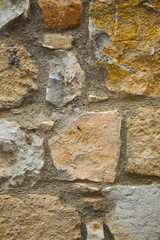 Wall-patterned backgrounds in various colors