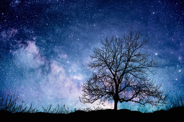 Fototapeta na wymiar Tree standing silhouetted against the Milky Way
