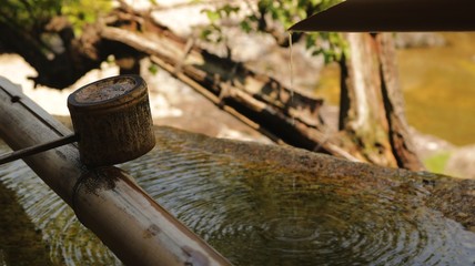 water in garden