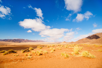 Namib desert landscape