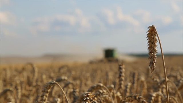 July 20, 2019 Ukraine, Vinnitsa, Combine harvester John Deere. Combine harvesting a wheat field.
