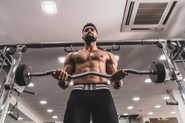 Fototapeta premium Handsome Muscular Male Model With Perfect Body Doing Biceps Exercise