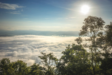 Viewpoint sea of misting, beautiful mountain view with fog, sunrise scene, sunrise scene, Doi Samer Dao. Sri Nan national park, Nan Province, Thailand.