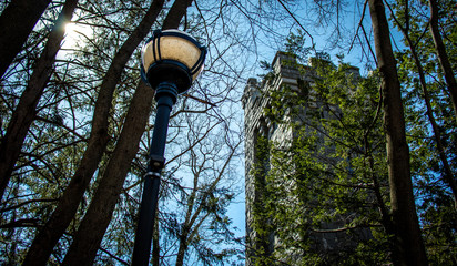 old street lamp in the park