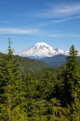 Fototapeta premium Beautiful American Mountain Landscape view during a sunny summer day. Taken in Paradise, Mt Rainier National Park, Washington, United States of America.