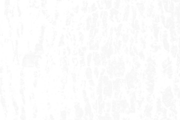 white paper texture background close up