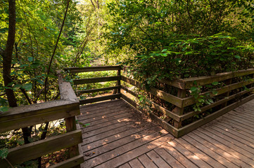Fototapeta premium A small lookout point on the wooden walkway that runs next to Nine Mile Run in Frick Park, Pittsburgh, Pennsylvania, USA in summer time