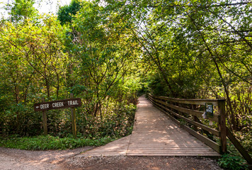 The Deer Creek Trail sign in Frick Park, Pittsburgh, Pennsylvania, USA in summer time. Frick Park has over 17 miles of trails within it's boundary 