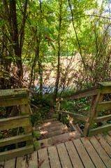 Wooden steps leading  from a walkway to Nine Mile Run in Frick Park in Pittsburgh, Pennsylvania, USA