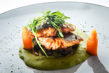 closeup delicious baked salmon fillet with greens and carrot
