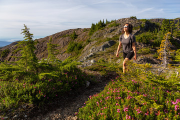 Naklejka na ściany i meble Adventurous girl hiking the beautiful trail in the Canadian Mountain Landscape during a vibrant summer evening. Taken at Mt Arrowsmith, near Nanaimo, Vancouver Island, BC, Canada.
