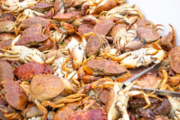 A tub full of live rock crabs at the local fish market