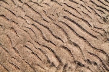 Golden waves texture of sand dunes on river bank