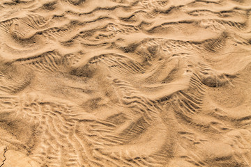 Golden waves texture of sand dunes on river bank