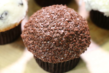 Chocolate Muffin