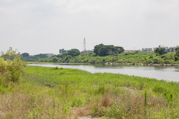Fototapeta na wymiar 日本の風景　川
