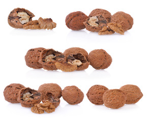 Walnuts closeup isolated on white background