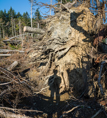 Stürme Unwetter Holzbruch