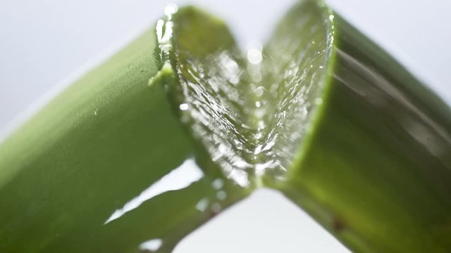 close-up of an aloe vera leaf cut transversallly and opened in half where you can see the pure juice of the plant