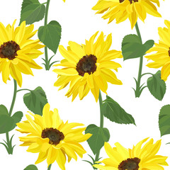 floral seamless pattern of tall yellow sunflowers on stems with large leaves on white background