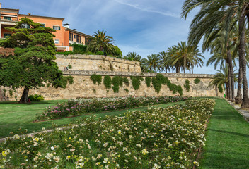 Obraz premium View of the historic quarter of Palma de Mallorca