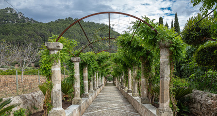 Alley in the Alfabia Gardens park on Tramuntana mountain, Mallorca, Spain