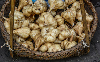 Stack of fresh Pachyrhizus erosus