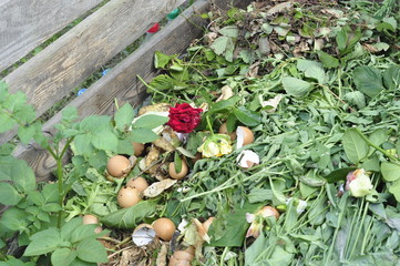 Compost bin for organic household waste for soil formation of black soil
