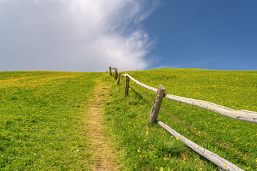 Scenery Alps with trail on green hill