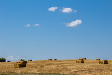 Getreideernte in wunderschöner Landschaft