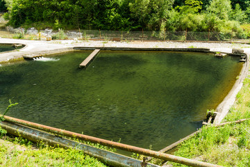 FISH BREEDER POOL FOR BALKAN AND RAINBOW TROUT