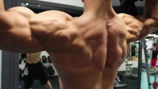 bodybuilder shows the muscles of the back