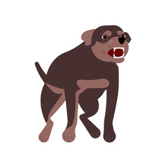 Aggressive dangerous dog attack