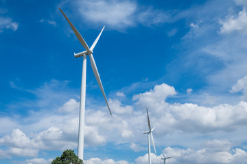 Fototapeta premium Windmills for electric power production,wind turbine