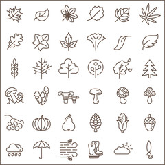 Fototapeta premium Set of autumn and leaf Icons line style. Included the icons as foliage, tree, plant, wood, mushroom And Other Elements. customize color, easy resize.