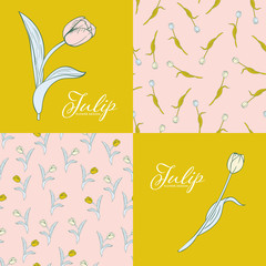 Fototapeta na wymiar Beautifull Spring Tulip flowers set of seamless pattern design