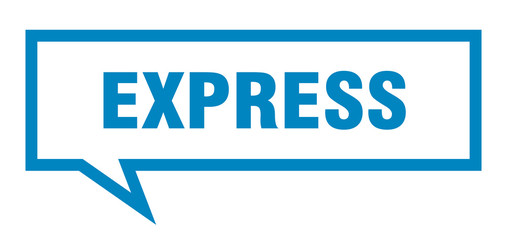 express sign. express square speech bubble. express
