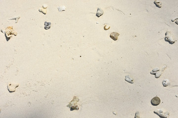 White beach sand background. Gravels, coral fragments and shells on fine soft sand for background.
