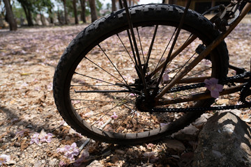Fototapeta na wymiar wheel vintage bicycle flash tire